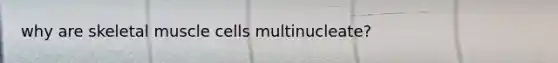 why are skeletal muscle cells multinucleate?