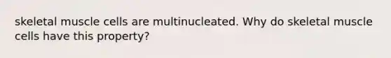 skeletal muscle cells are multinucleated. Why do skeletal muscle cells have this property?