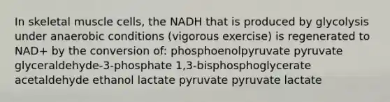 In skeletal muscle cells, the NADH that is produced by glycolysis under anaerobic conditions (vigorous exercise) is regenerated to NAD+ by the conversion of: phosphoenolpyruvate pyruvate glyceraldehyde-3-phosphate 1,3-bisphosphoglycerate acetaldehyde ethanol lactate pyruvate pyruvate lactate