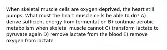 When skeletal muscle cells are oxygen-deprived, <a href='https://www.questionai.com/knowledge/kya8ocqc6o-the-heart' class='anchor-knowledge'>the heart</a> still pumps. What must the heart muscle cells be able to do? A) derive sufficient energy from fermentation B) continue aerobic metabolism when skeletal muscle cannot C) transform lactate to pyruvate again D) remove lactate from <a href='https://www.questionai.com/knowledge/k7oXMfj7lk-the-blood' class='anchor-knowledge'>the blood</a> E) remove oxygen from lactate