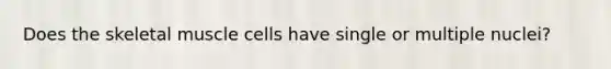 Does the skeletal muscle cells have single or multiple nuclei?