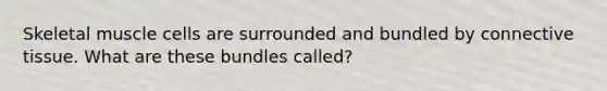 Skeletal muscle cells are surrounded and bundled by connective tissue. What are these bundles called?