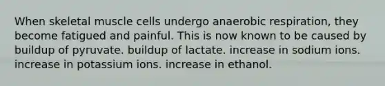 When skeletal muscle cells undergo anaerobic respiration, they become fatigued and painful. This is now known to be caused by buildup of pyruvate. buildup of lactate. increase in sodium ions. increase in potassium ions. increase in ethanol.