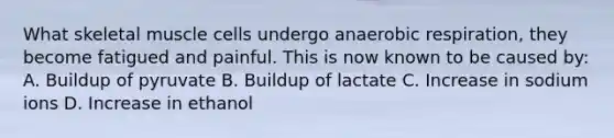 What skeletal muscle cells undergo anaerobic respiration, they become fatigued and painful. This is now known to be caused by: A. Buildup of pyruvate B. Buildup of lactate C. Increase in sodium ions D. Increase in ethanol