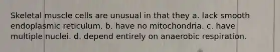 Skeletal muscle cells are unusual in that they a. lack smooth endoplasmic reticulum. b. have no mitochondria. c. have multiple nuclei. d. depend entirely on an<a href='https://www.questionai.com/knowledge/kyxGdbadrV-aerobic-respiration' class='anchor-knowledge'>aerobic respiration</a>.