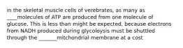 in the skeletal muscle cells of verebrates, as many as ____molecules of ATP are produced from one molecule of glucose. This is less than might be expected, because electrons from NADH produced during glycoloysis must be shuttled through the _______mitchondrial membrane at a cost