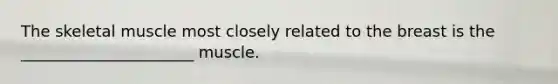The skeletal muscle most closely related to the breast is the ______________________ muscle.