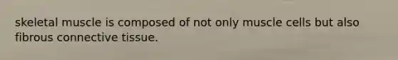 skeletal muscle is composed of not only muscle cells but also fibrous connective tissue.