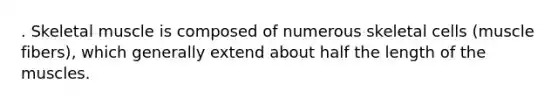 . Skeletal muscle is composed of numerous skeletal cells (muscle fibers), which generally extend about half the length of the muscles.
