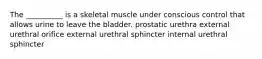 The __________ is a skeletal muscle under conscious control that allows urine to leave the bladder. prostatic urethra external urethral orifice external urethral sphincter internal urethral sphincter