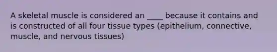 A skeletal muscle is considered an ____ because it contains and is constructed of all four tissue types (epithelium, connective, muscle, and nervous tissues)