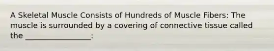 A Skeletal Muscle Consists of Hundreds of Muscle Fibers: The muscle is surrounded by a covering of connective tissue called the _________________: