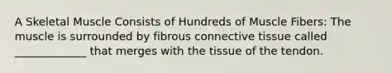 A Skeletal Muscle Consists of Hundreds of Muscle Fibers: The muscle is surrounded by fibrous connective tissue called _____________ that merges with the tissue of the tendon.