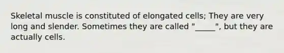 Skeletal muscle is constituted of elongated cells; They are very long and slender. Sometimes they are called "_____", but they are actually cells.