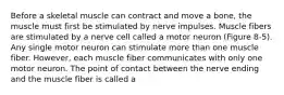 Before a skeletal muscle can contract and move a bone, the muscle must first be stimulated by nerve impulses. Muscle fibers are stimulated by a nerve cell called a motor neuron (Figure 8-5). Any single motor neuron can stimulate more than one muscle fiber. However, each muscle fiber communicates with only one motor neuron. The point of contact between the nerve ending and the muscle fiber is called a