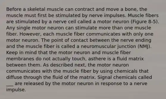 Before a skeletal muscle can contract and move a bone, the muscle must first be stimulated by nerve impulses. Muscle fibers are stimulated by a nerve cell called a motor neuron (Figure 8-5). Any single motor neuron can stimulate <a href='https://www.questionai.com/knowledge/keWHlEPx42-more-than' class='anchor-knowledge'>more than</a> one muscle fiber. However, each muscle fiber communicates with only one motor neuron. The point of contact between the nerve ending and the muscle fiber is called a neuromuscular junction (NMJ). Keep in mind that the motor neuron and muscle fiber membranes do not actually touch, asthere is a fluid matrix between them. As described next, the motor neuron communicates with the muscle fiber by using chemicals that diffuse through the fluid of the matrix. Signal chemicals called ___ are released by the motor neuron in response to a nerve impulse.