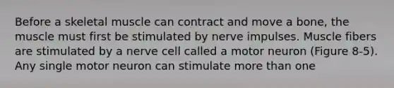 Before a skeletal muscle can contract and move a bone, the muscle must first be stimulated by nerve impulses. Muscle fibers are stimulated by a nerve cell called a motor neuron (Figure 8-5). Any single motor neuron can stimulate more than one