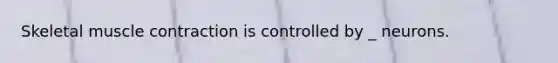 Skeletal <a href='https://www.questionai.com/knowledge/k0LBwLeEer-muscle-contraction' class='anchor-knowledge'>muscle contraction</a> is controlled by _ neurons.