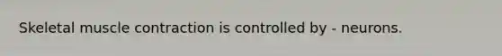 Skeletal muscle contraction is controlled by - neurons.