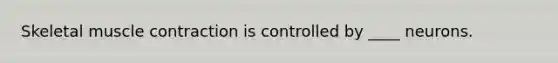 Skeletal muscle contraction is controlled by ____ neurons.