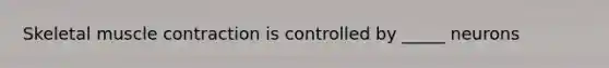 Skeletal muscle contraction is controlled by _____ neurons