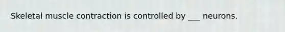 Skeletal muscle contraction is controlled by ___ neurons.