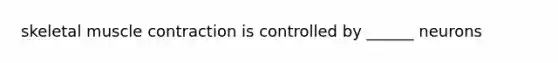 skeletal <a href='https://www.questionai.com/knowledge/k0LBwLeEer-muscle-contraction' class='anchor-knowledge'>muscle contraction</a> is controlled by ______ neurons