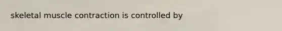 skeletal muscle contraction is controlled by