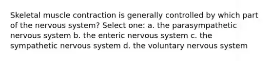 Skeletal muscle contraction is generally controlled by which part of the nervous system? Select one: a. the parasympathetic nervous system b. the enteric nervous system c. the sympathetic nervous system d. the voluntary nervous system