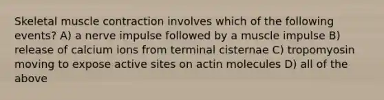 Skeletal muscle contraction involves which of the following events? A) a nerve impulse followed by a muscle impulse B) release of calcium ions from terminal cisternae C) tropomyosin moving to expose active sites on actin molecules D) all of the above