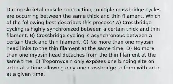 During skeletal muscle contraction, multiple crossbridge cycles are occurring between the same thick and thin filament. Which of the following best describes this process? A) Crossbridge cycling is highly synchronized between a certain thick and thin filament. B) Crossbridge cycling is asynchronous between a certain thick and thin filament. C) No more than one myosin head links to the thin filament at the same time. D) No more than one myosin head detaches from the thin filament at the same time. E) Tropomyosin only exposes one binding site on actin at a time allowing only one crossbridge to form with actin at a given time.