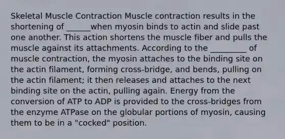 Skeletal Muscle Contraction Muscle contraction results in the shortening of ______when myosin binds to actin and slide past one another. This action shortens the muscle fiber and pulls the muscle against its attachments. According to the _________ of muscle contraction, the myosin attaches to the binding site on the actin filament, forming cross-bridge, and bends, pulling on the actin filament; it then releases and attaches to the next binding site on the actin, pulling again. Energy from the conversion of ATP to ADP is provided to the cross-bridges from the enzyme ATPase on the globular portions of myosin, causing them to be in a "cocked" position.