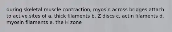 during skeletal muscle contraction, myosin across bridges attach to active sites of a. thick filaments b. Z discs c. actin filaments d. myosin filaments e. the H zone