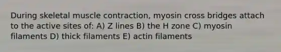 During skeletal muscle contraction, myosin cross bridges attach to the active sites of: A) Z lines B) the H zone C) myosin filaments D) thick filaments E) actin filaments