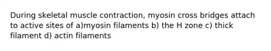 During skeletal <a href='https://www.questionai.com/knowledge/k0LBwLeEer-muscle-contraction' class='anchor-knowledge'>muscle contraction</a>, myosin cross bridges attach to active sites of a)myosin filaments b) the H zone c) thick filament d) actin filaments