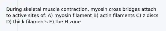 During skeletal muscle contraction, myosin cross bridges attach to active sites of: A) myosin filament B) actin filaments C) z discs D) thick filaments E) the H zone