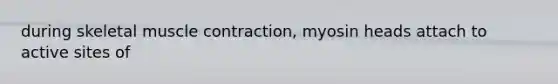 during skeletal <a href='https://www.questionai.com/knowledge/k0LBwLeEer-muscle-contraction' class='anchor-knowledge'>muscle contraction</a>, myosin heads attach to active sites of