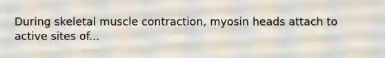 During skeletal muscle contraction, myosin heads attach to active sites of...