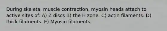 During skeletal muscle contraction, myosin heads attach to active sites of: A) Z discs B) the H zone. C) actin filaments. D) thick filaments. E) Myosin filaments.