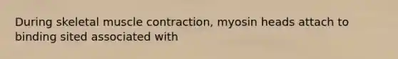During skeletal muscle contraction, myosin heads attach to binding sited associated with