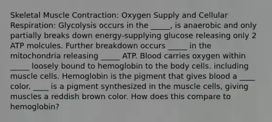 Skeletal Muscle Contraction: Oxygen Supply and Cellular Respiration: Glycolysis occurs in the _____, is anaerobic and only partially breaks down energy-supplying glucose releasing only 2 ATP molcules. Further breakdown occurs _____ in the mitochondria releasing _____ ATP. Blood carries oxygen within _____ loosely bound to hemoglobin to the body cells. including muscle cells. Hemoglobin is the pigment that gives blood a ____ color. ____ is a pigment synthesized in the muscle cells, giving muscles a reddish brown color. How does this compare to hemoglobin?