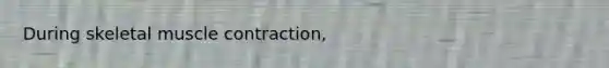 During skeletal muscle contraction,