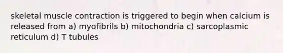 skeletal muscle contraction is triggered to begin when calcium is released from a) myofibrils b) mitochondria c) sarcoplasmic reticulum d) T tubules