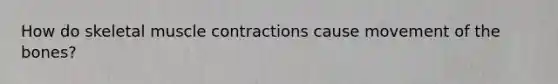 How do skeletal muscle contractions cause movement of the bones?