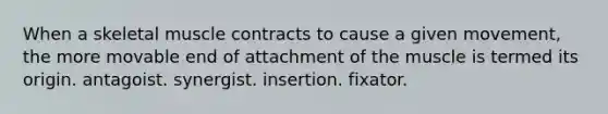 When a skeletal muscle contracts to cause a given movement, the more movable end of attachment of the muscle is termed its origin. antagoist. synergist. insertion. fixator.