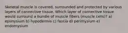 Skeletal muscle is covered, surrounded and protected by various layers of connective tissue. Which layer of connective tissue would surround a bundle of muscle fibers (muscle cells)? a) epimysium b) hypodermis c) fascia d) perimysium e) endomysium