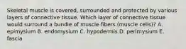 Skeletal muscle is covered, surrounded and protected by various layers of connective tissue. Which layer of connective tissue would surround a bundle of muscle fibers (muscle cells)? A. epimysium B. endomysium C. hypodermis D. perimysium E. fascia