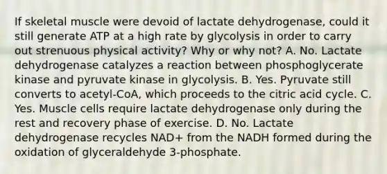 If skeletal muscle were devoid of lactate dehydrogenase, could it still generate ATP at a high rate by glycolysis in order to carry out strenuous physical activity? Why or why not? A. No. Lactate dehydrogenase catalyzes a reaction between phosphoglycerate kinase and pyruvate kinase in glycolysis. B. Yes. Pyruvate still converts to acetyl‑CoA, which proceeds to the citric acid cycle. C. Yes. Muscle cells require lactate dehydrogenase only during the rest and recovery phase of exercise. D. No. Lactate dehydrogenase recycles NAD+ from the NADH formed during the oxidation of glyceraldehyde 3‑phosphate.