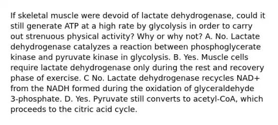 If skeletal muscle were devoid of lactate dehydrogenase, could it still generate ATP at a high rate by glycolysis in order to carry out strenuous physical activity? Why or why not? A. No. Lactate dehydrogenase catalyzes a reaction between phosphoglycerate kinase and pyruvate kinase in glycolysis. B. Yes. Muscle cells require lactate dehydrogenase only during the rest and recovery phase of exercise. C No. Lactate dehydrogenase recycles NAD+ from the NADH formed during the oxidation of glyceraldehyde 3‑phosphate. D. Yes. Pyruvate still converts to acetyl‑CoA, which proceeds to the citric acid cycle.