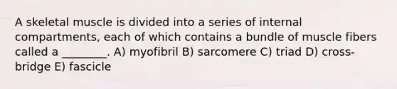 A skeletal muscle is divided into a series of internal compartments, each of which contains a bundle of muscle fibers called a ________. A) myofibril B) sarcomere C) triad D) cross-bridge E) fascicle